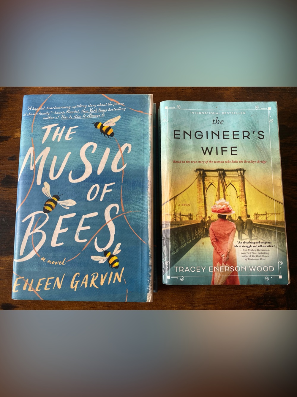 2 Fiction Novels - Great Summer Reading! Booktok
